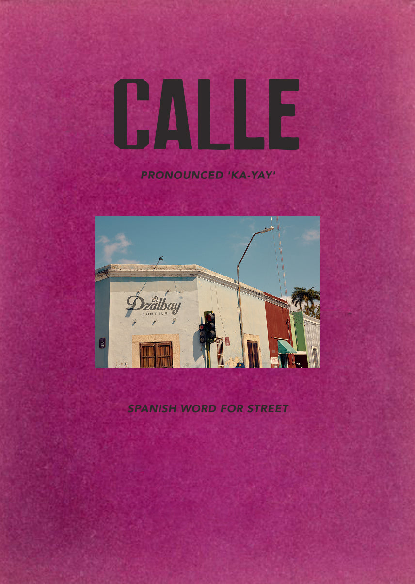 Book cover with 'Calle' text and street scene on a pink background