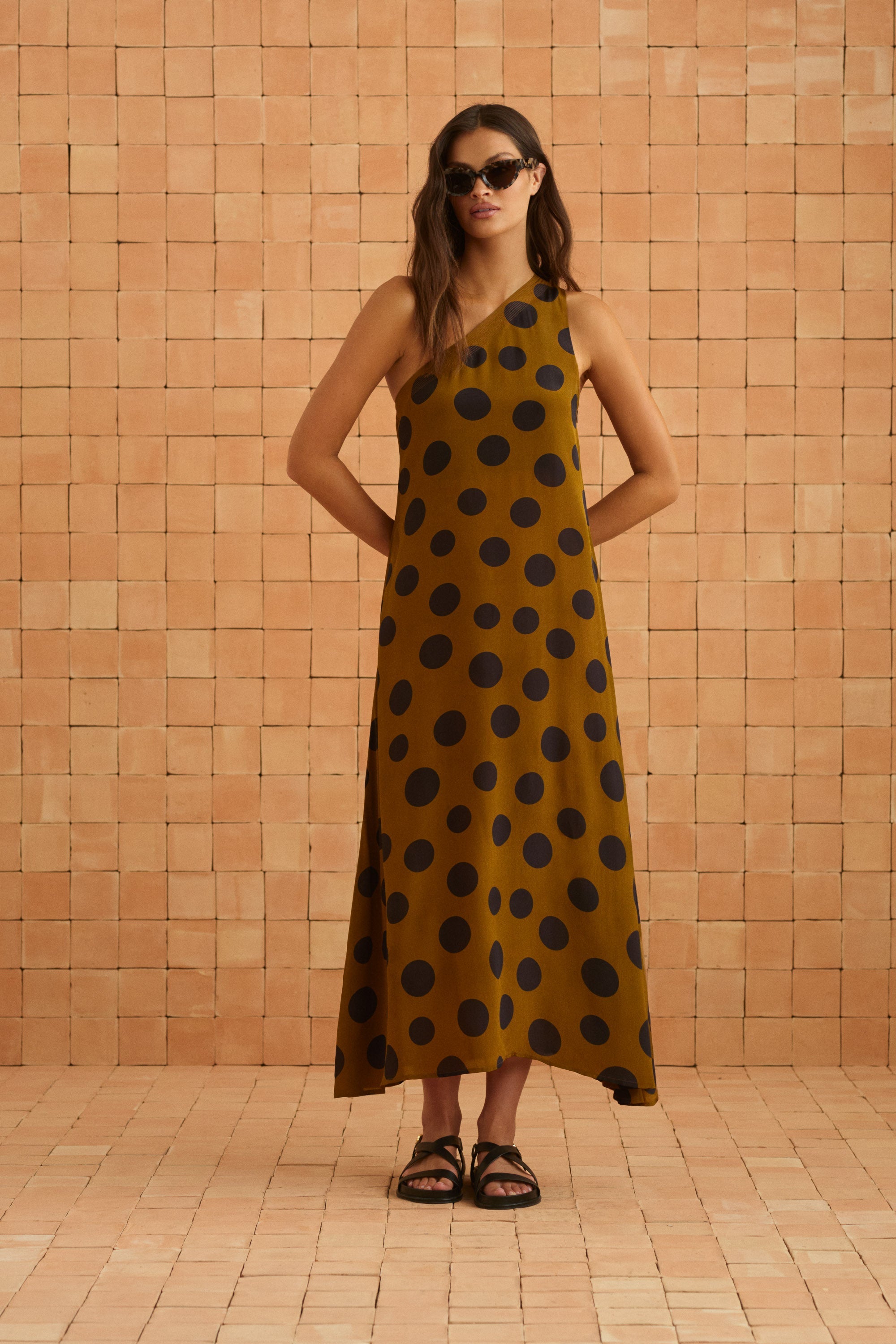 Minka Dress In Ginger Spot