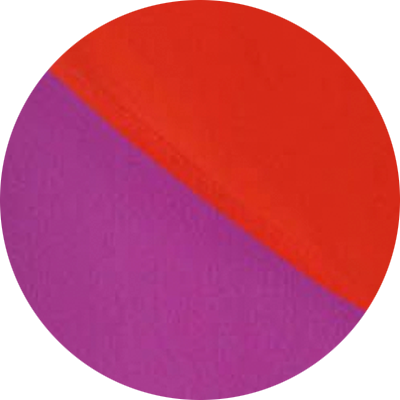 Amapola