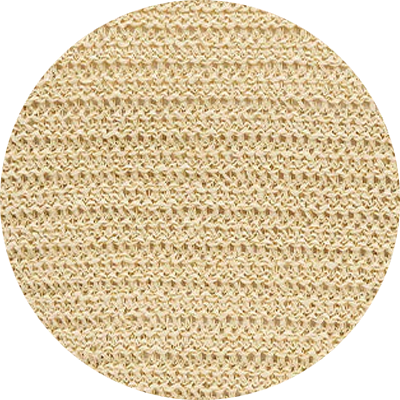 Biscotti